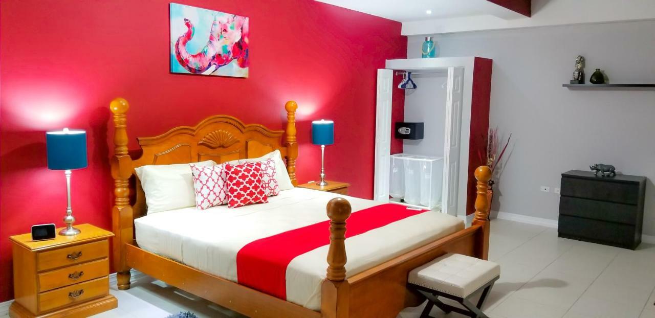 New Kingston Guest Apartments @ Donhead מראה חיצוני תמונה